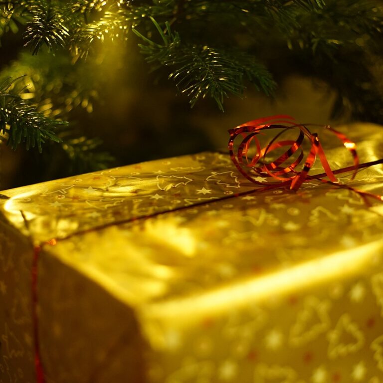 christmas, gift, decoration-1786558.jpg